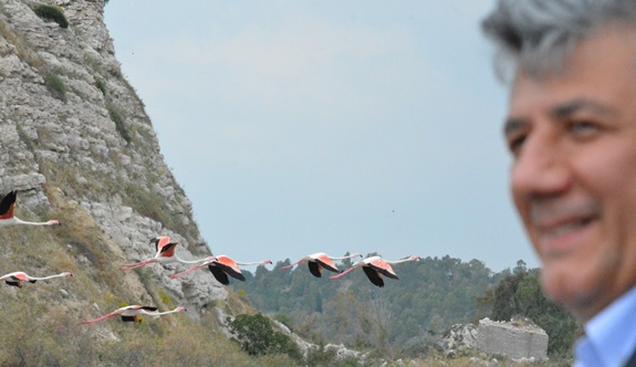 "KÖRFEZ GEÇİŞ PROJESİNDEN GEDİZ DELTASINA DOĞA BETONA KURBAN EDİLECEK"