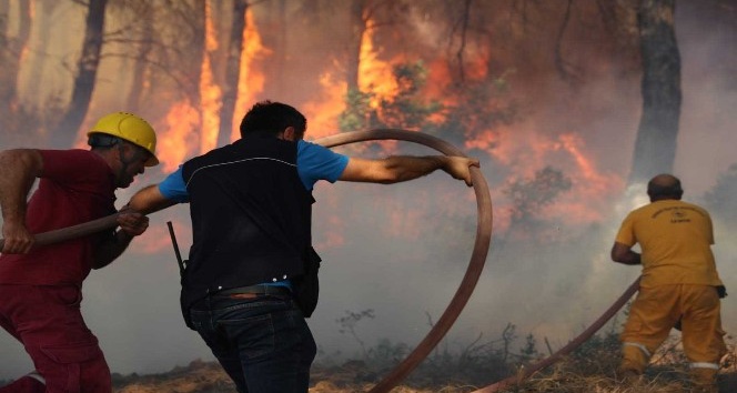İzmir'deki orman yangınına ilişkin 1 kişi gözaltında