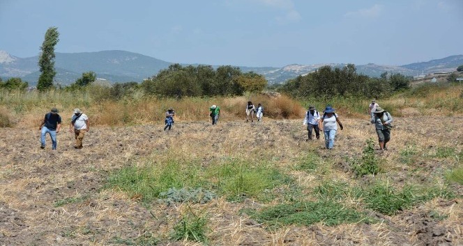 Aliağa'da dev kültür hamlesi