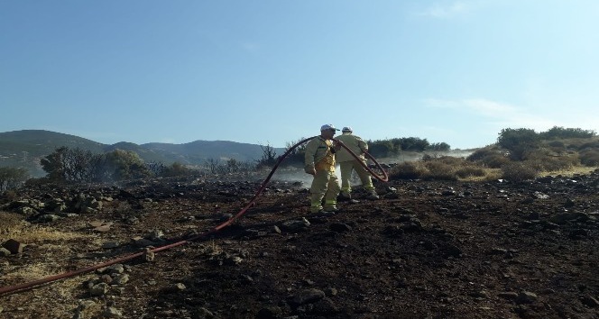 Aliağa'da makilik alanda yangın