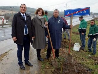 ALİAĞA'DA BİN ADET ZEYTİN FİDANI TOPRAKLA BULUŞTURULDU