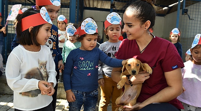 İzmir Büyükşehir Belediyesi'nden köpek sahiplendirme ve rehabilitasyon merkezi