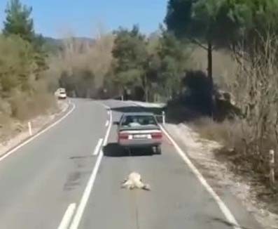 Bergama'da köpeği otomobile bağlayıp sürükledi