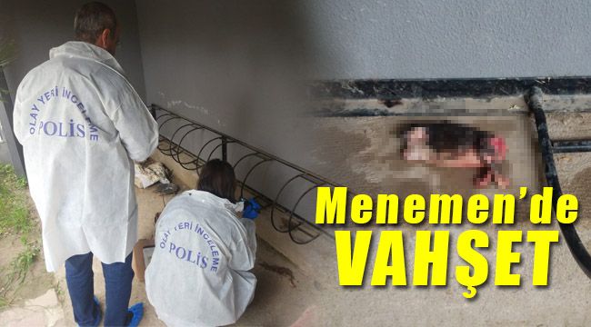 Menemen'de insanlık dışı vahşet Yavru kedilerin başlarını ve patilerini kestiler