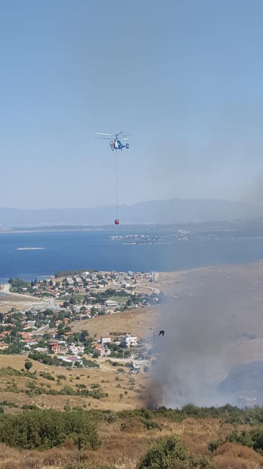 Aliağa'da otluk alanda yangın