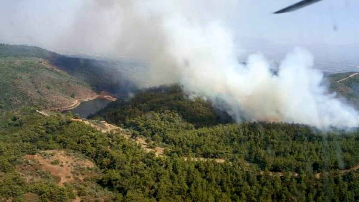 Torbalı'da orman yangını