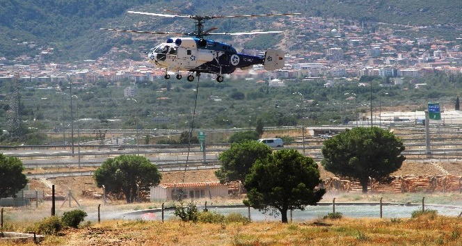 Ormanlar 24 saat, havadan ve karadan gözlem altında