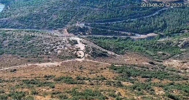 Ormanı ateşe verenler mobil kameralara yakalandı