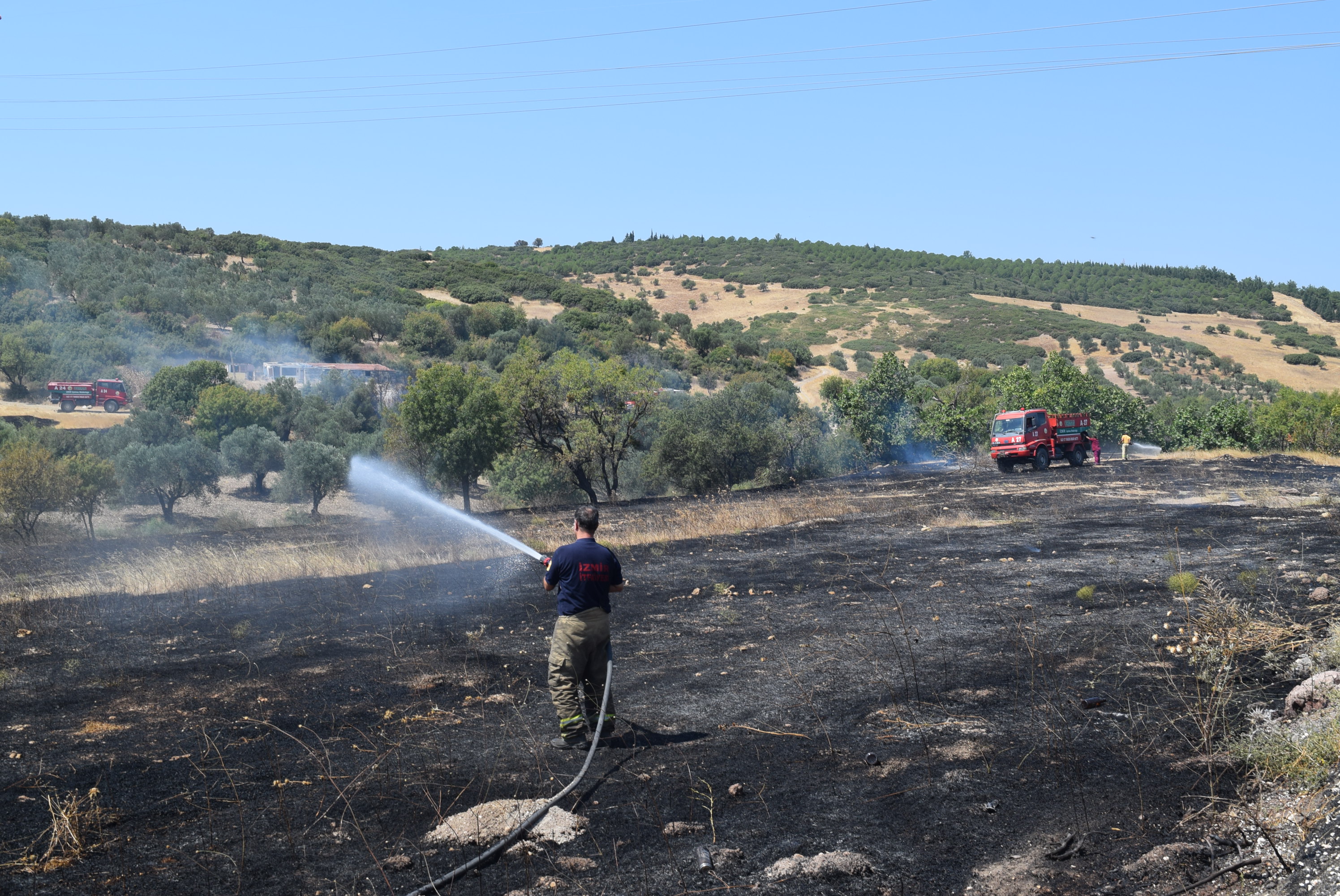 Aliağa'daki yangının, ormanlık alana sıçramaması için büyük mücadele