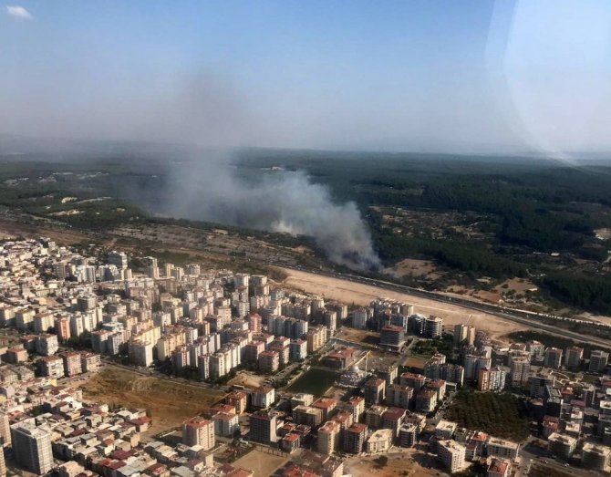 Saman yüklü kamyon devrildi, ormanı yaktı