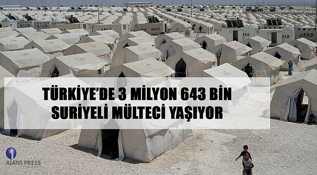 Türkiye'de 3 milyon 643 bin Suriyeli mülteci yaşıyor
