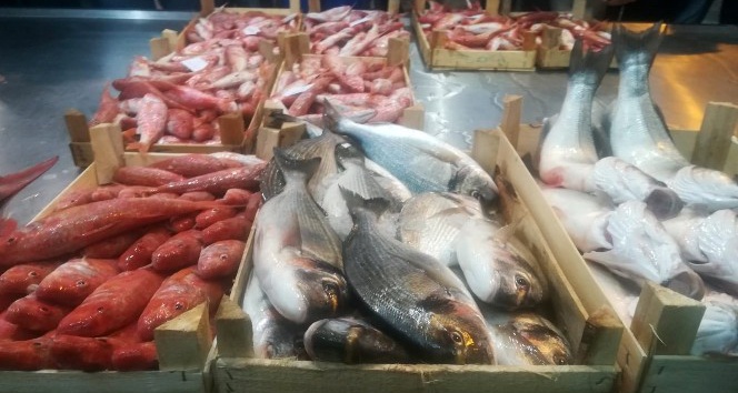 İzmir'de balık bereketi