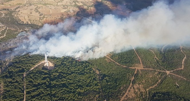 İzmir'deki orman yangını kontrol altına alındı