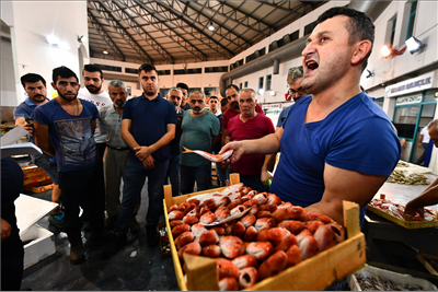 Balık sezonu İzmir Balık Hali'ndeki törenle açıldı