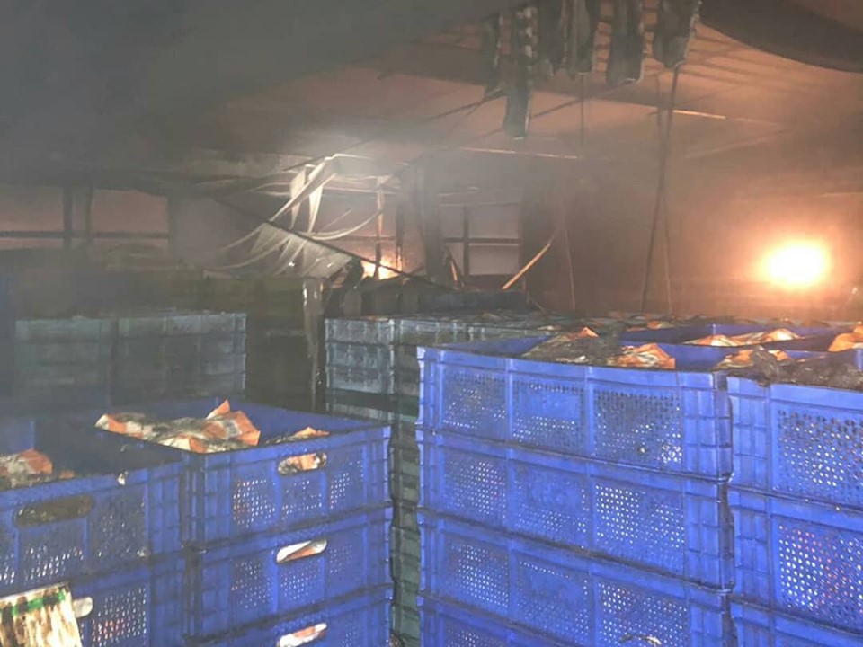 Menemen'deki Turşu Fabrikasında Yangın