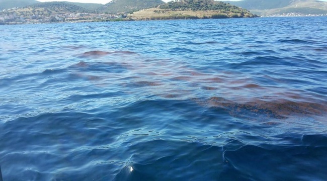 Foça'daki deniz kirliliği TBMM gündeminde