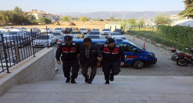Jandarmadan operasyon: İzmir'de 2 kişi yakalandı