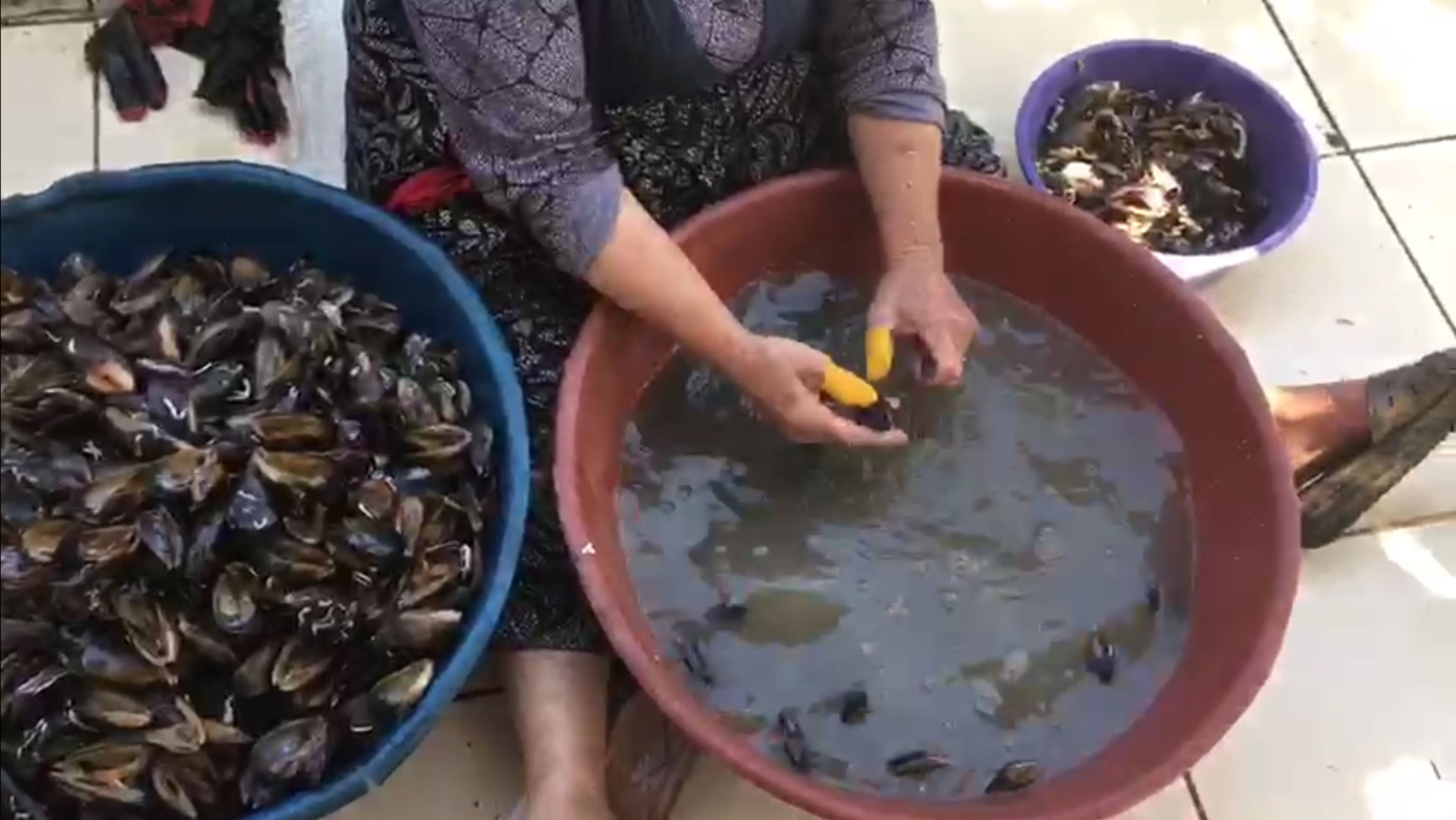 Bakteri yuvası midyeciye baskın