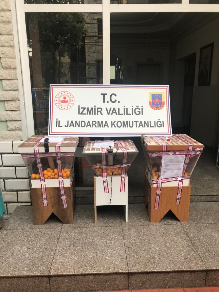 Çay Ocaklarına Kumar Baskını