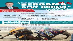 Bergama Deve Güreşi Festivali'ne hazırlanıyor