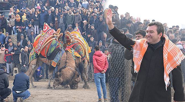 Bergama Deve Güreşi Festivali renkli görüntülere sahne oldu