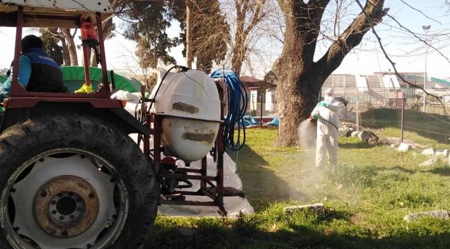 Bergama Belediyesi yabani ot mücadelesine başladı