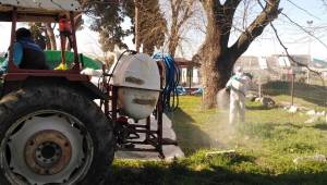 Bergama Belediyesi yabani ot mücadelesine başladı