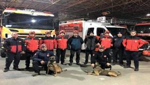 İtfaiyenin arama köpekleri hayat kurtarıyor