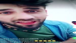 Şehitlerimize köpek diyen PKK'lı evinden alındı