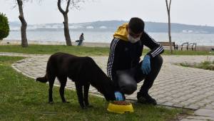  Can Dostlarının Yanında Olmaya Devam Ediyor