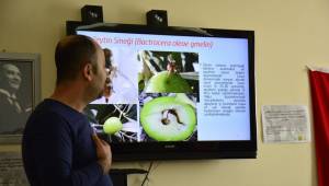 Zeytincilik Araştırma Enstitüsü Uzmanlarından Üreticilere Özel Eğitim