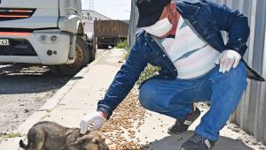 Aliağa Belediyesi can dostlarını unutmadı