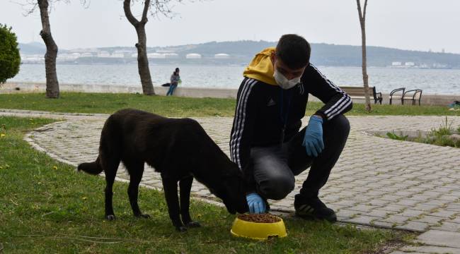 Aliağa Belediyesi'nden Can Dostlar İçin Seferberlik