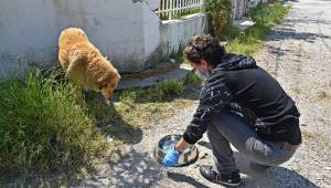 ALİAĞA BELEDİYESİ SEVİMLİ DOSTLARIMIZIN YANINDA