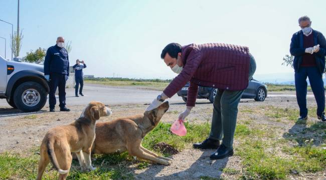 Bergama'da can dostlar unutmadı