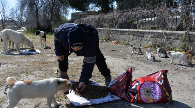 Bergama'da sokak hayvanlarına mama