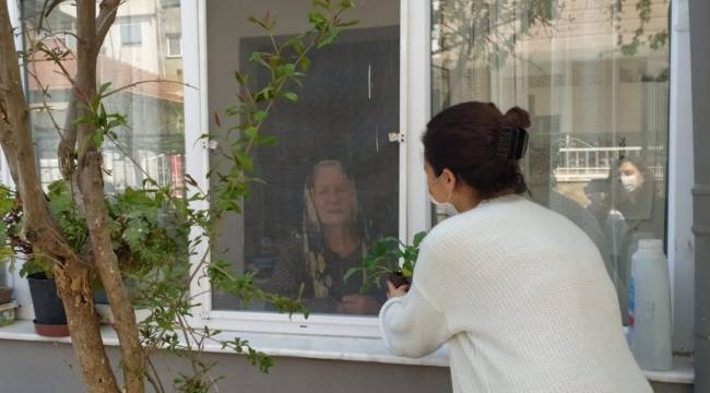 Buca'da balkon tarımı başladı: "Evde kal, evde üret"