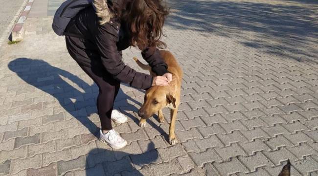 Egeliler Kampüsteki Dostlarını Yalnız Bırakmadı