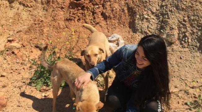 İzmir İl Tarım ve Orman Müdürü Mustafa Özen:Sokak Hayvanları İçin Sokaktayız
