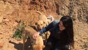 İzmir İl Tarım ve Orman Müdürü Mustafa Özen:Sokak Hayvanları İçin Sokaktayız