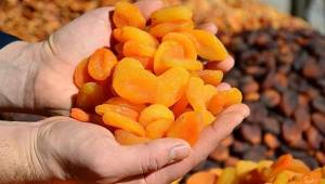 Kuru kayısı 8 ayda 197 milyon dolar getirdi