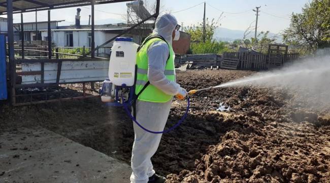 MENEMEN BELEDİYESİ, SİNEK VE LARVA MÜCADELE PROGRAMINI BAŞLATTI.