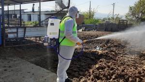 MENEMEN BELEDİYESİ, SİNEK VE LARVA MÜCADELE PROGRAMINI BAŞLATTI.