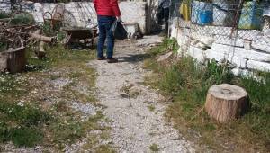 Midilli Vakfından Vatandaşa Gıda Hastaneye Malzeme Desteği