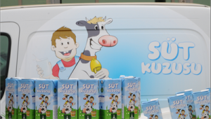 Salgının ardından uygulamada normale dönülecek