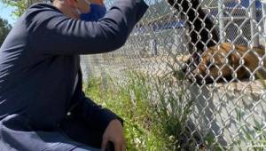 Sokağa çıkma yasağında da can dostlar unutulmadı