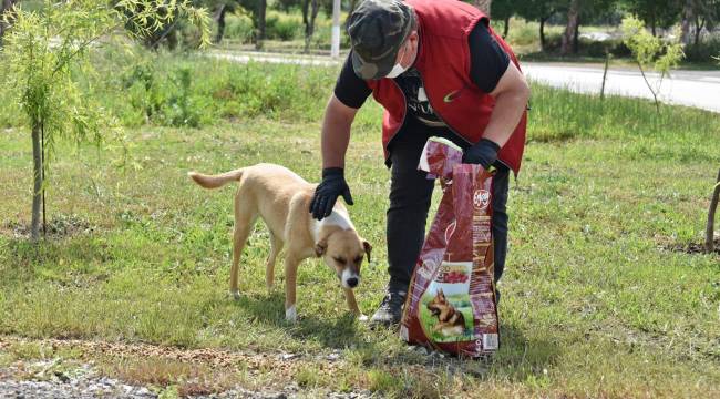 Aliağa belediyesi mama dağıtımlarını sürdürüyor