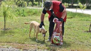 Aliağa belediyesi mama dağıtımlarını sürdürüyor