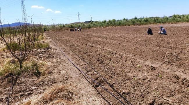 Aliağa Belediyesi'nden Tarımsal Kalkınmaya Destek.