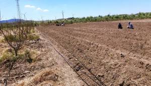 Aliağa Belediyesi'nden Tarımsal Kalkınmaya Destek.